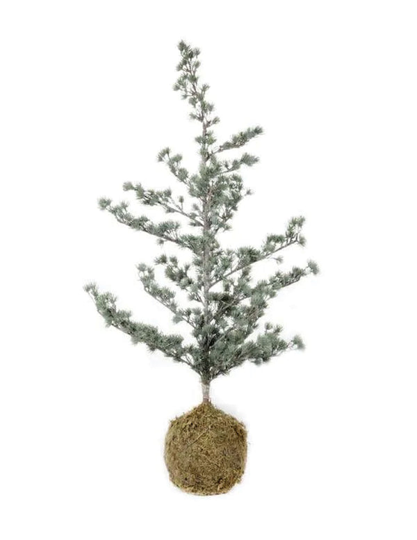 Silkefyr med 100 LED lys - 115 cm
